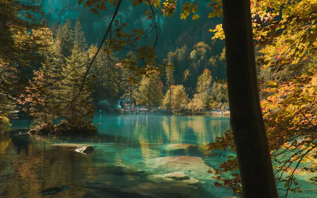 Look over river with orange leaves in the trees.
