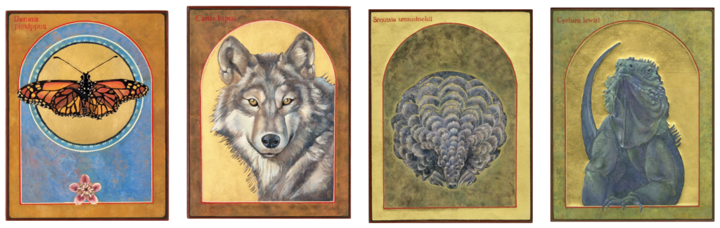 Decoration drawing of a butterfly, wolf, armadillo, and gecko.