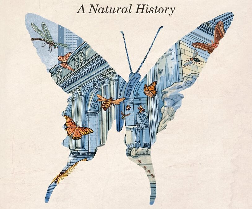 Insectopolis: A Natural History