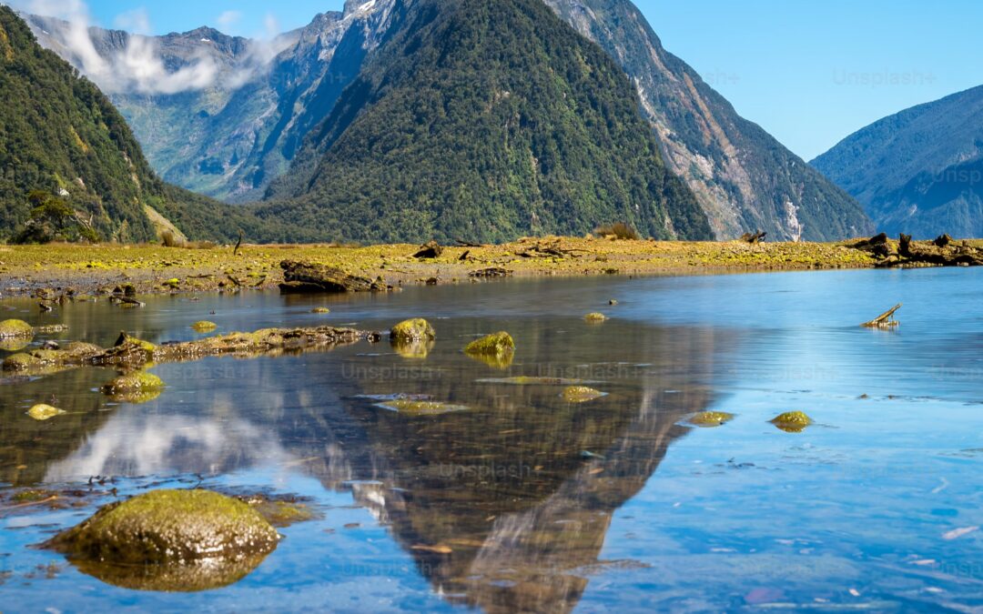 “International environmental law and Australia and New Zealand”