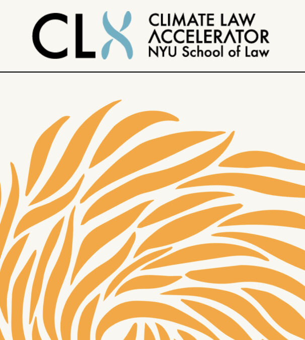 Climate Law Accelerator (CLX)