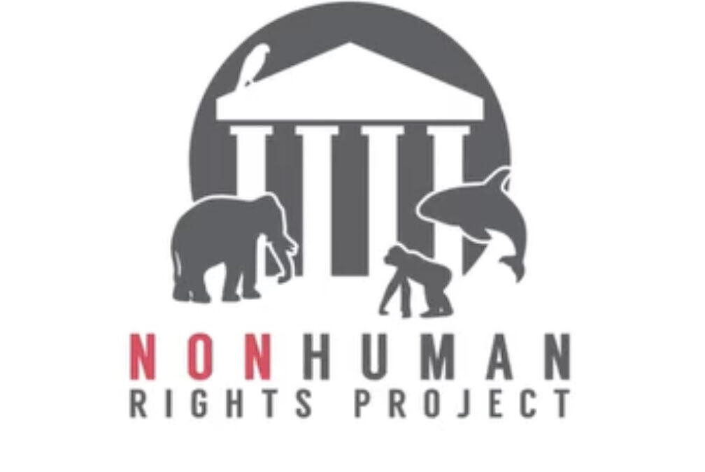 Nonhuman Rights Project