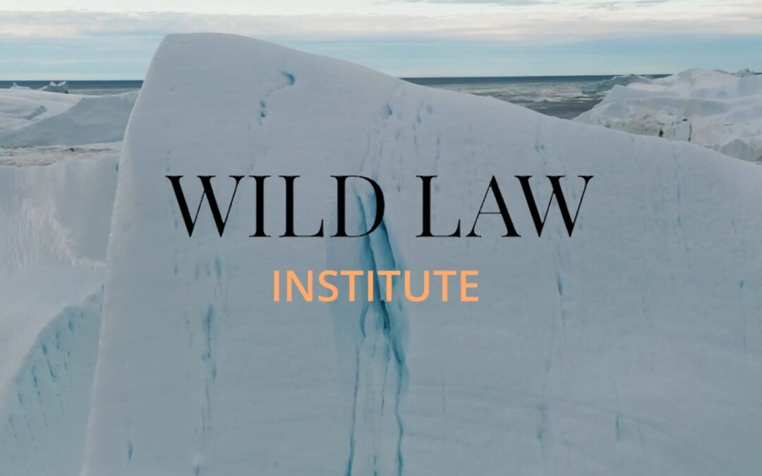 Wild Law Institute