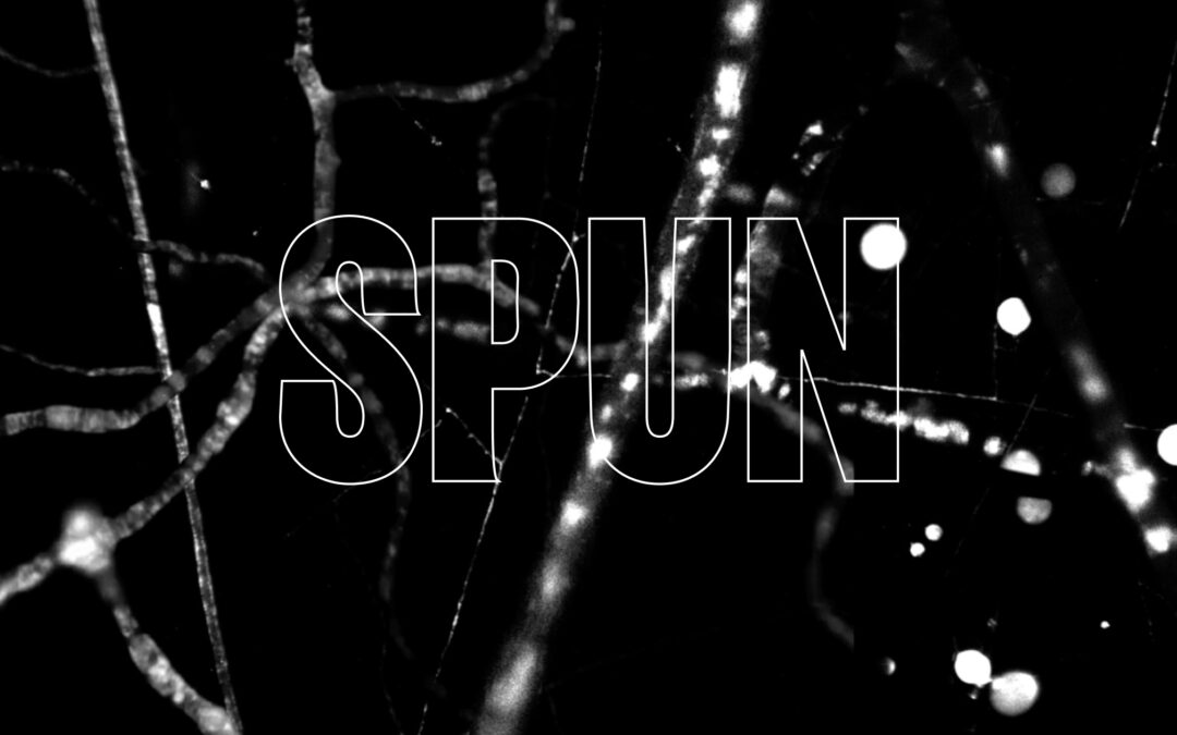 Society for the Protection of Underground Networks (SPUN)