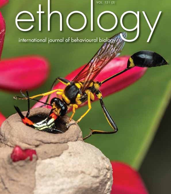 “Functional Vocalizations by an African Grey Parrot (Psittacus erithacus)”