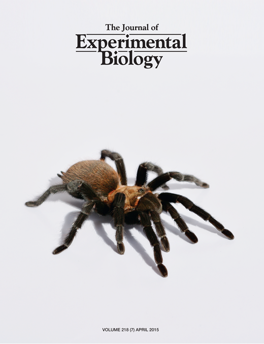 “Pain in Aquatic Animals”