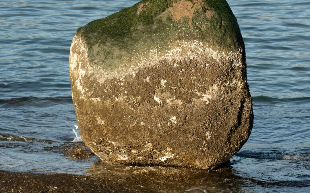 “Realistic Monism: Why Physicalism Entails Panpsychism”