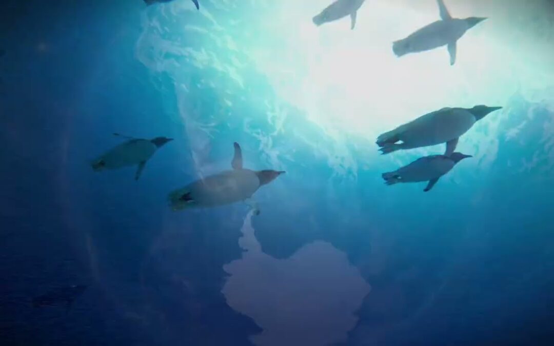 A Global Initiative Securing Rights for Antarctica