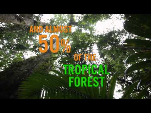 Biodiversity & ecosystems: towards a sustainable development in Latin America and the Caribbean