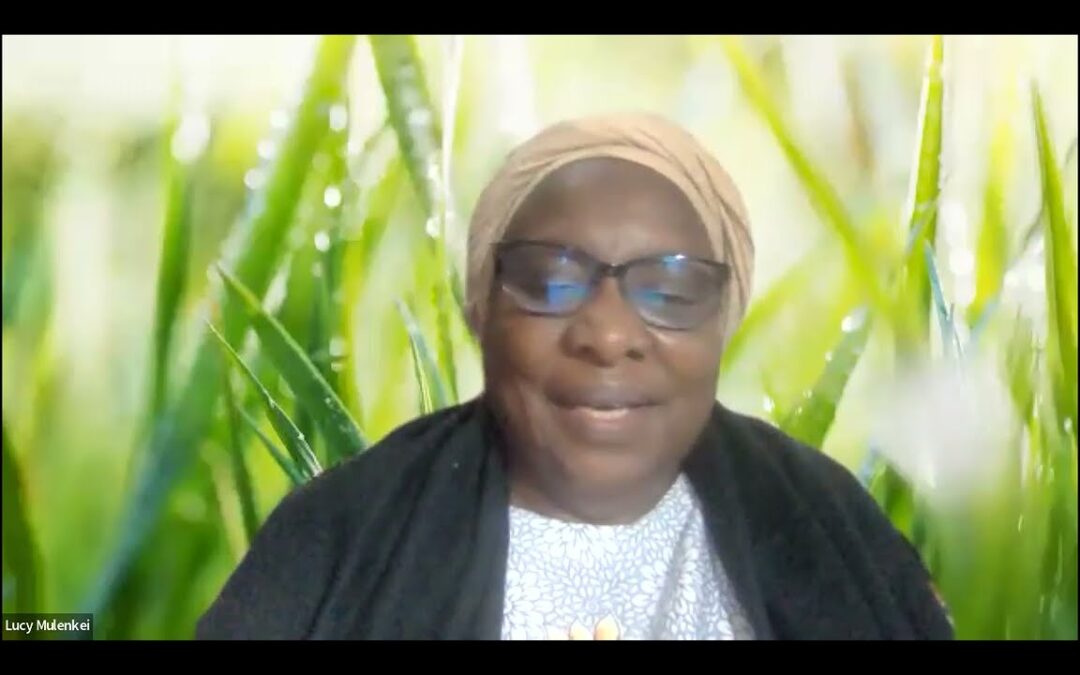 CJCM webinar: Advancing Rights of Nature and Human Rights in Africa and Beyond