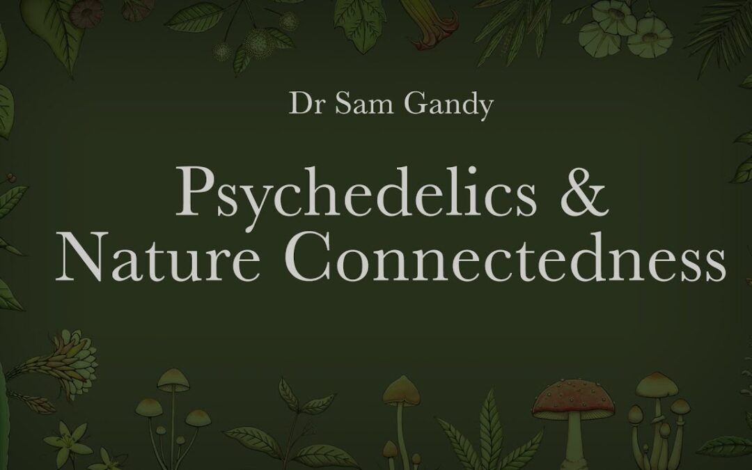 Psychedelics & Nature Connectedness