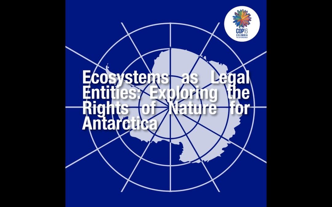 Exploring the Rights of Nature for Antarctica – Unite for Nature at CBD COP16