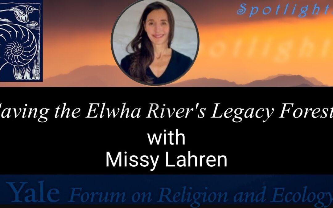 4.19 Saving the Elwha River’s Legacy Forests with Missy Lahren