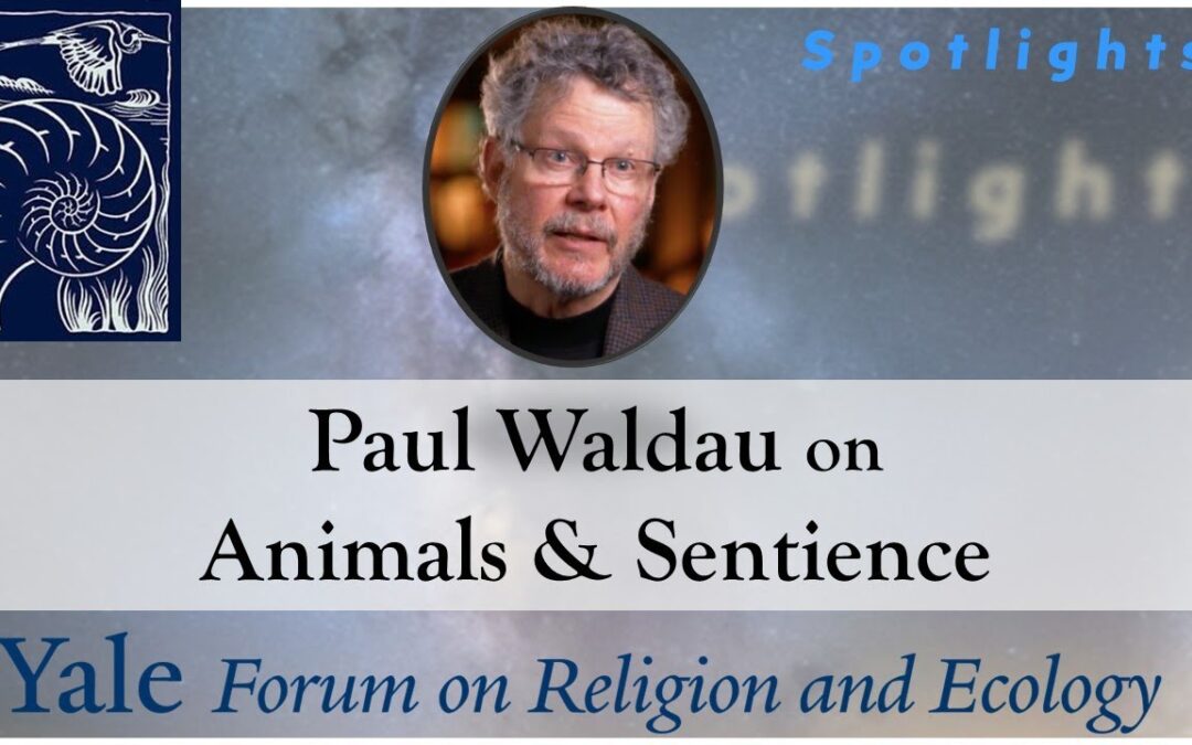 Episode 5.4, Paul Waldau on Animals and Sentience in Religion, Science, and Ethics