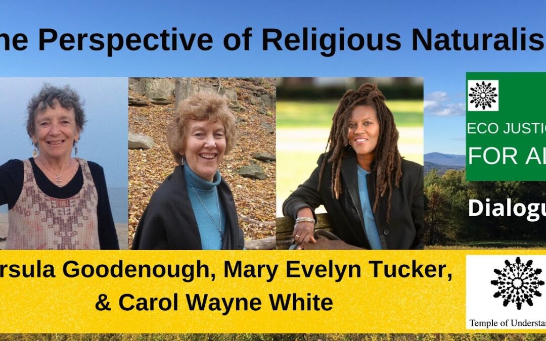 “The Perspective of Religious Naturalism”