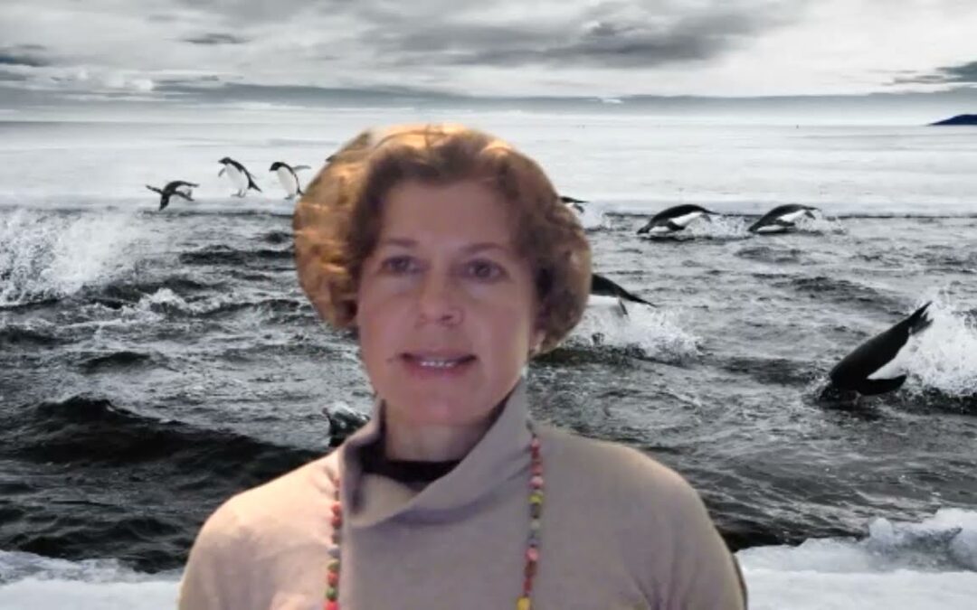 The Rights of Antarctica Webinar: Towards a Declaration to recognize the rights of Antarctica