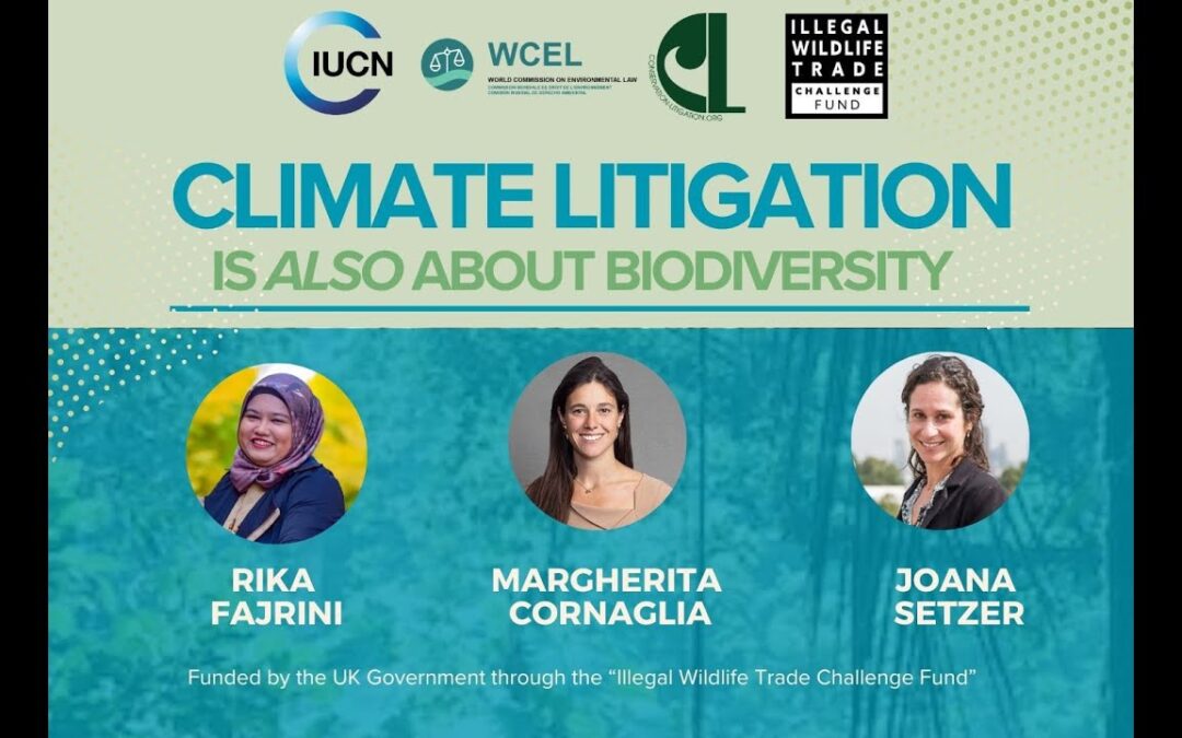 Webinar: Climate Litigation is also about Biodiversity