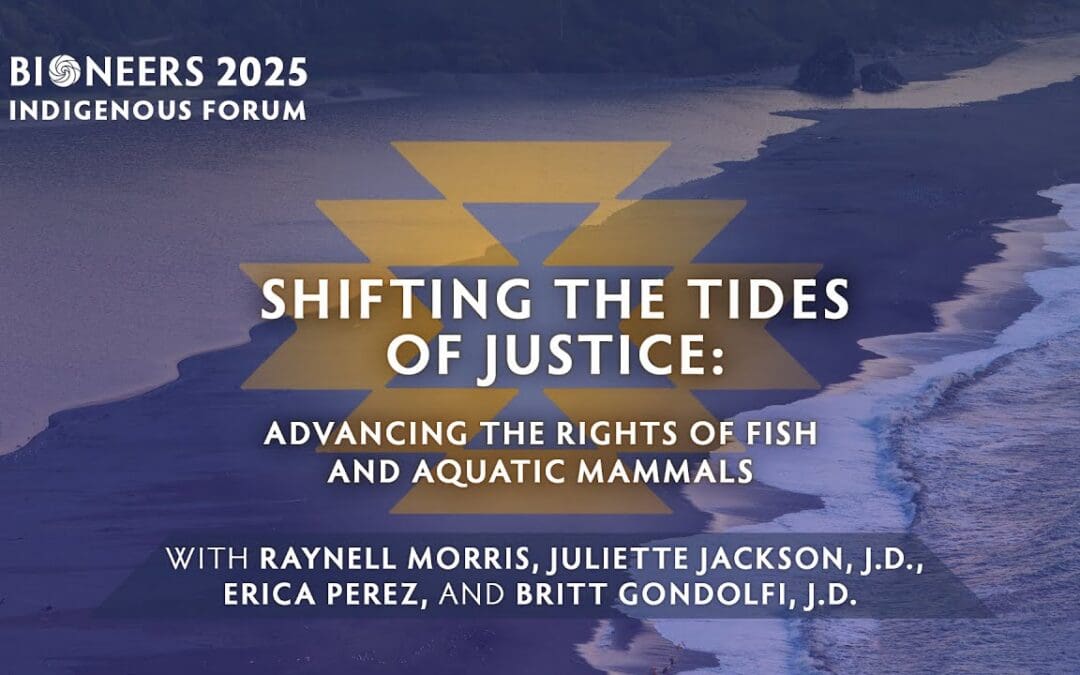 Shifting the Tides of Justice: Advancing the Rights of Fish and Aquatic Mammals