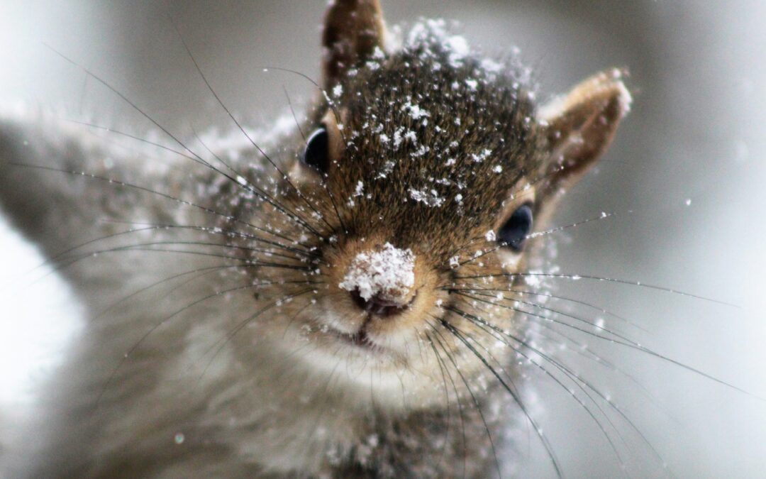 Photo by Misty Ladd on Unsplash